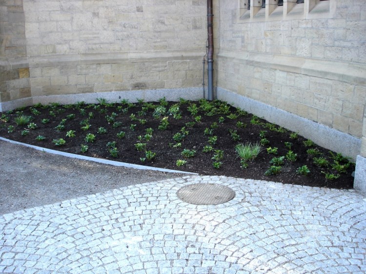 (c) Fotos: G. Ehrenberg