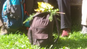 PIlgerrucksack